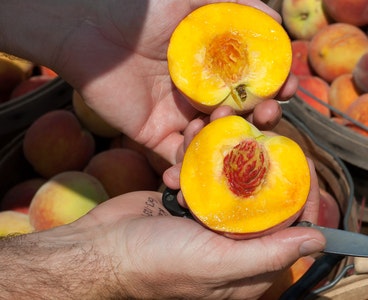 Dondurmalı ərik şirniyyatı