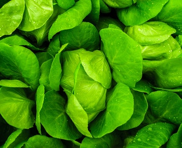 Dieyitik spanaq salati